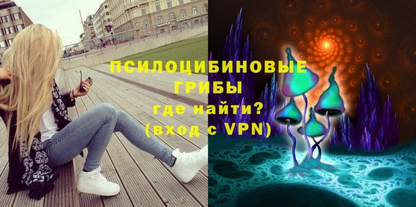гашик Киреевск