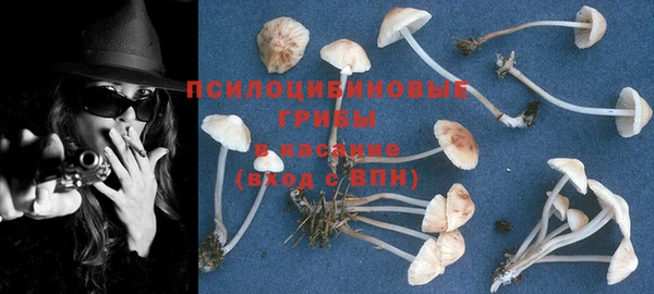тгк Карпинск